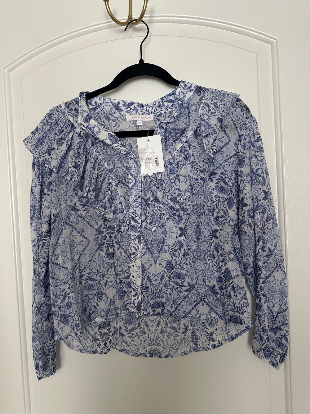 Sheer Long Sleeve Blouse